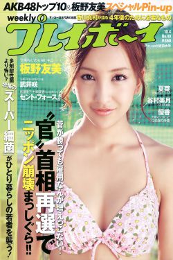 七仙女思春三片dvd